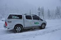 A valente Fiona enfrenta a neve do North Cascades National Park, no estado de Washington, noroeste dos  Estados Unidos